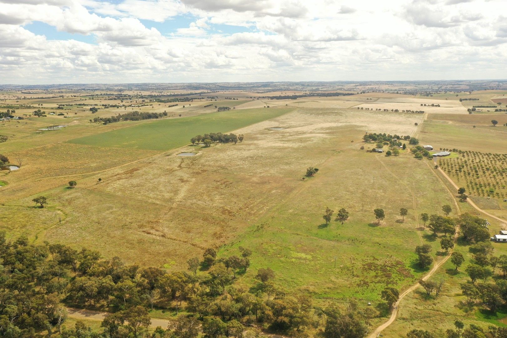 Specialist Farm in 1229 Scenic Road, YOUNG NSW, 2594