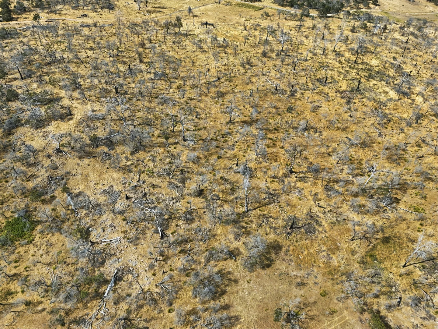 Image 36