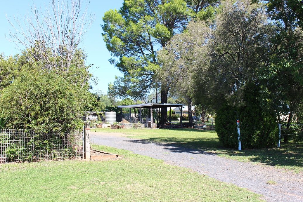 76 Finch Street, Bingara NSW 2404, Image 2