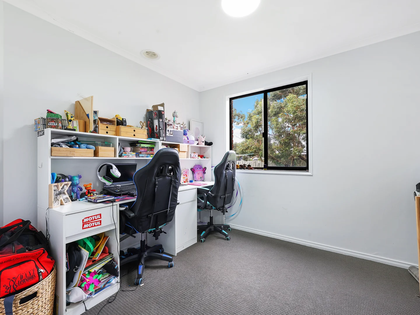 Image 11