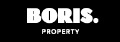 BORIS.'s logo