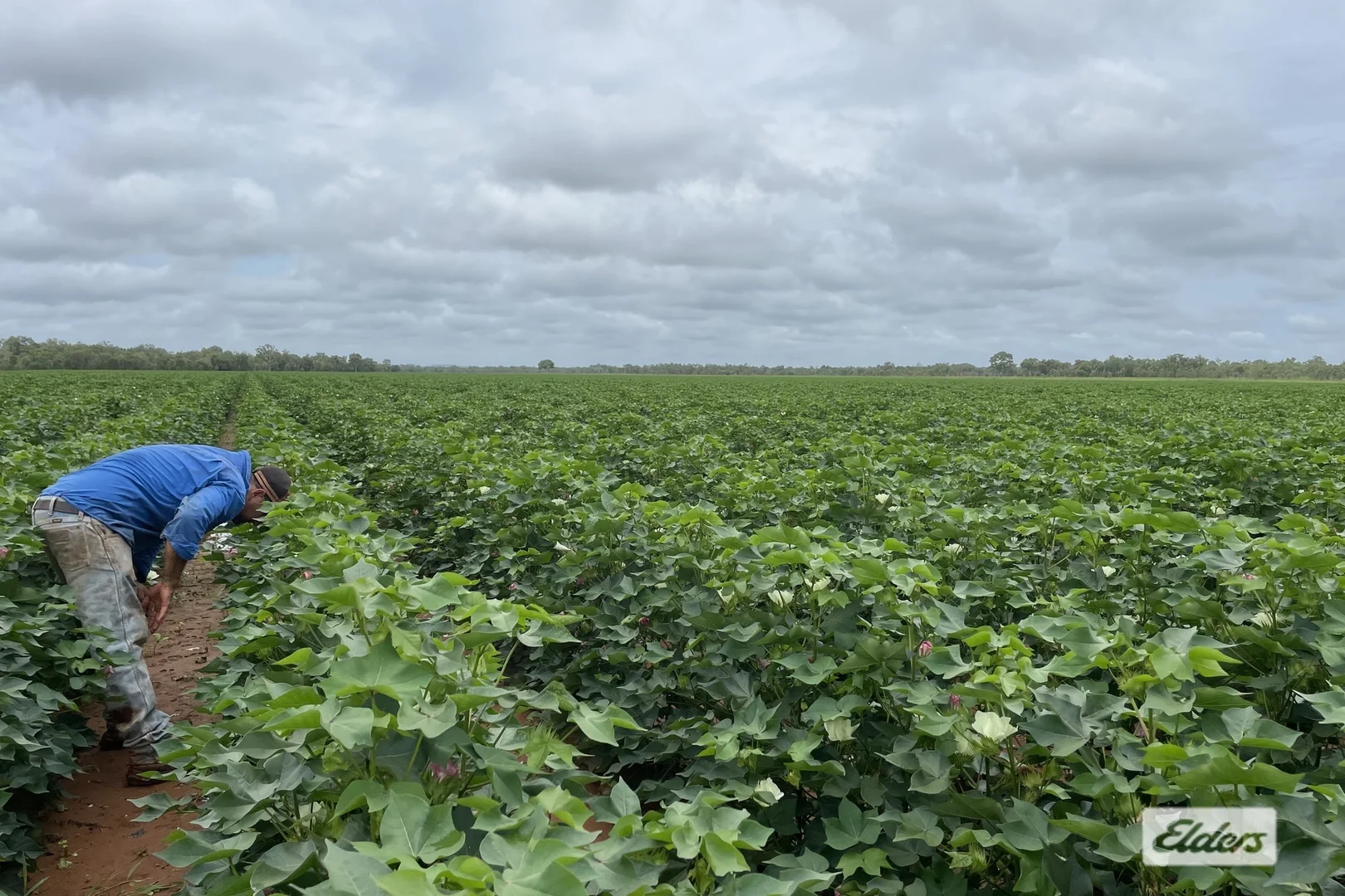 Additional image 8 of 2170 Edith Farms Road, Katherine NT 0850