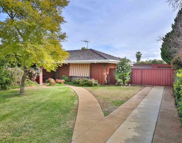 17 Mckendrick Avenue, Mildura VIC 3500