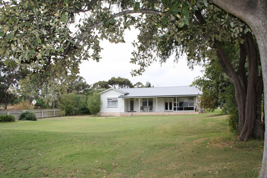 2 Park Terrace, Naracoorte SA 5271 House For Rent 420 Domain