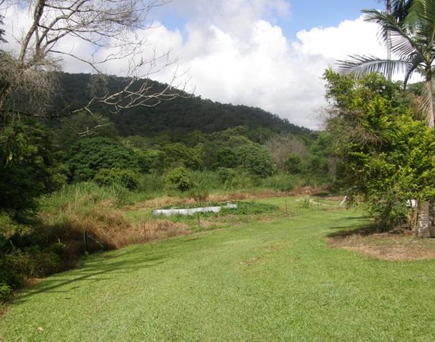 Lot 1 Hamilton Road, Glen Boughton QLD 4871