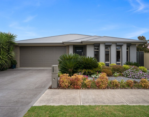 17 Falcon Avenue, Hampstead Gardens SA 5086