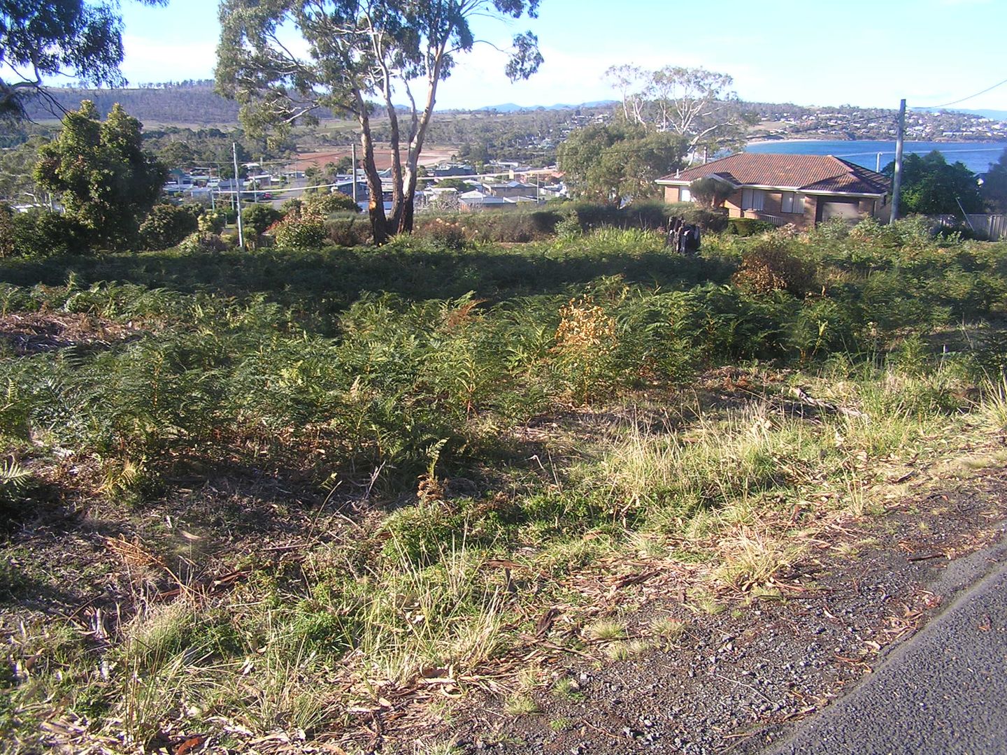 2 Little Falcon Street, Primrose Sands TAS 7173, Image 1