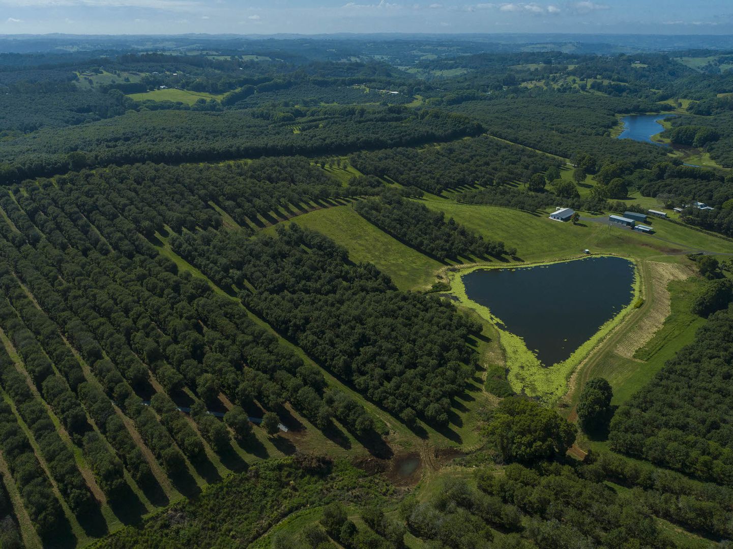 Dunoon NSW 2480 House for Sale Domain