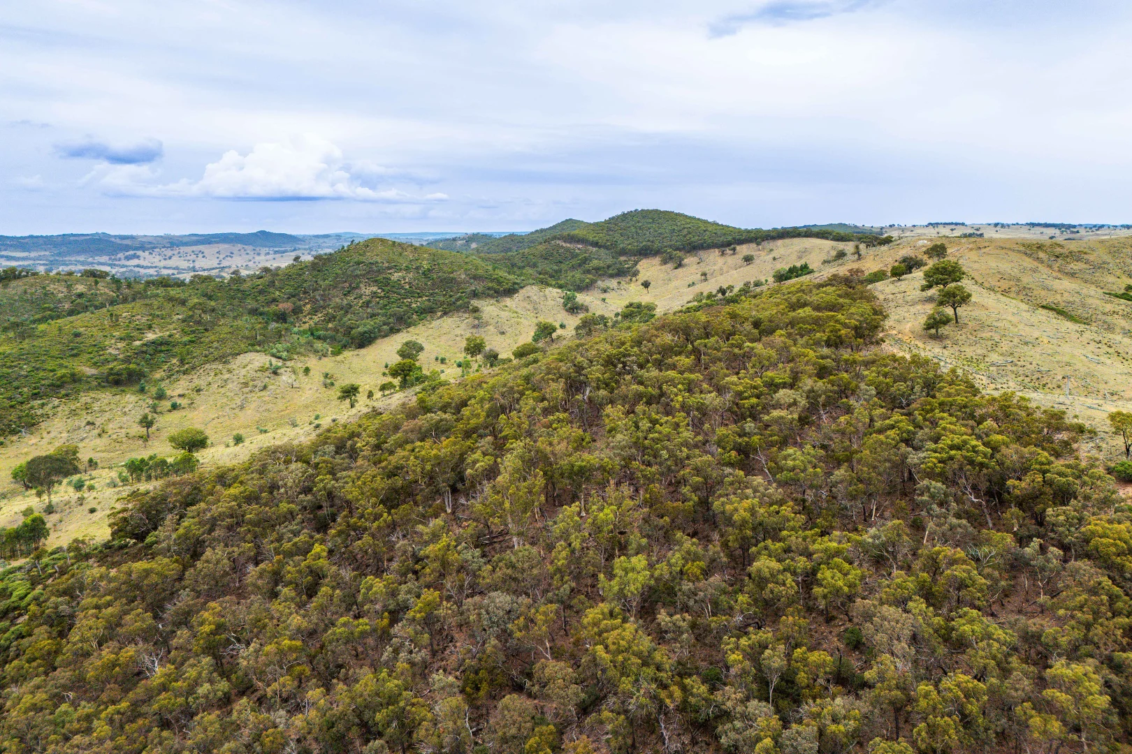 Additional image 29 of 678 Dry Creek Road, Lewis Ponds NSW 2800