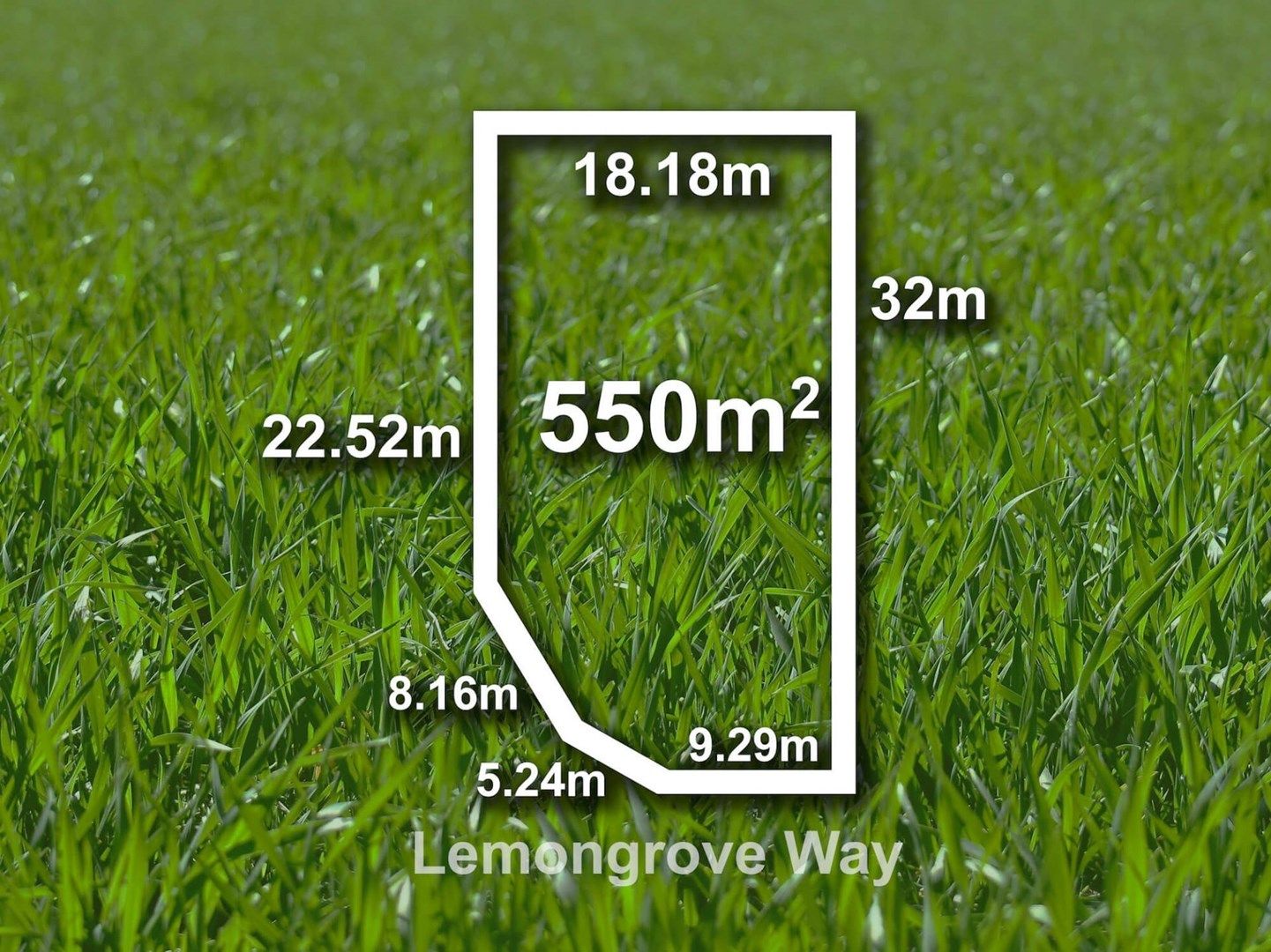25 Lemongrove Way, Berwick VIC 3806