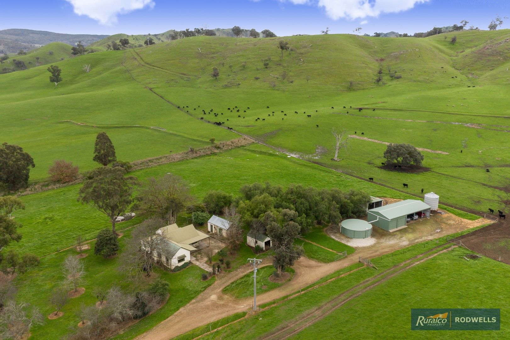 55 Upper King Parrot Creek Road, Strath Creek VIC 3658, Image 1