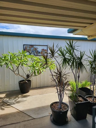 Additional image 22 of 198 Pulgul, Urangan QLD 4655