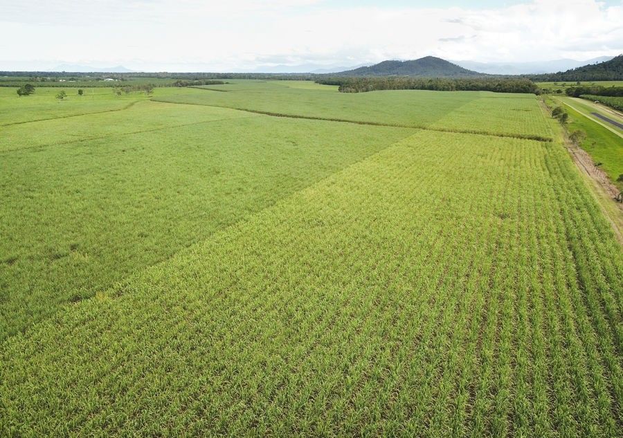 Coastal Farms, Tully QLD 4854 Vacant Land for Sale Domain