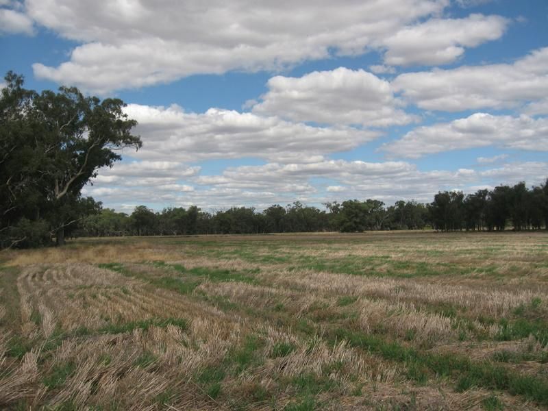 'Waverley', PARKES NSW 2870, Image 2