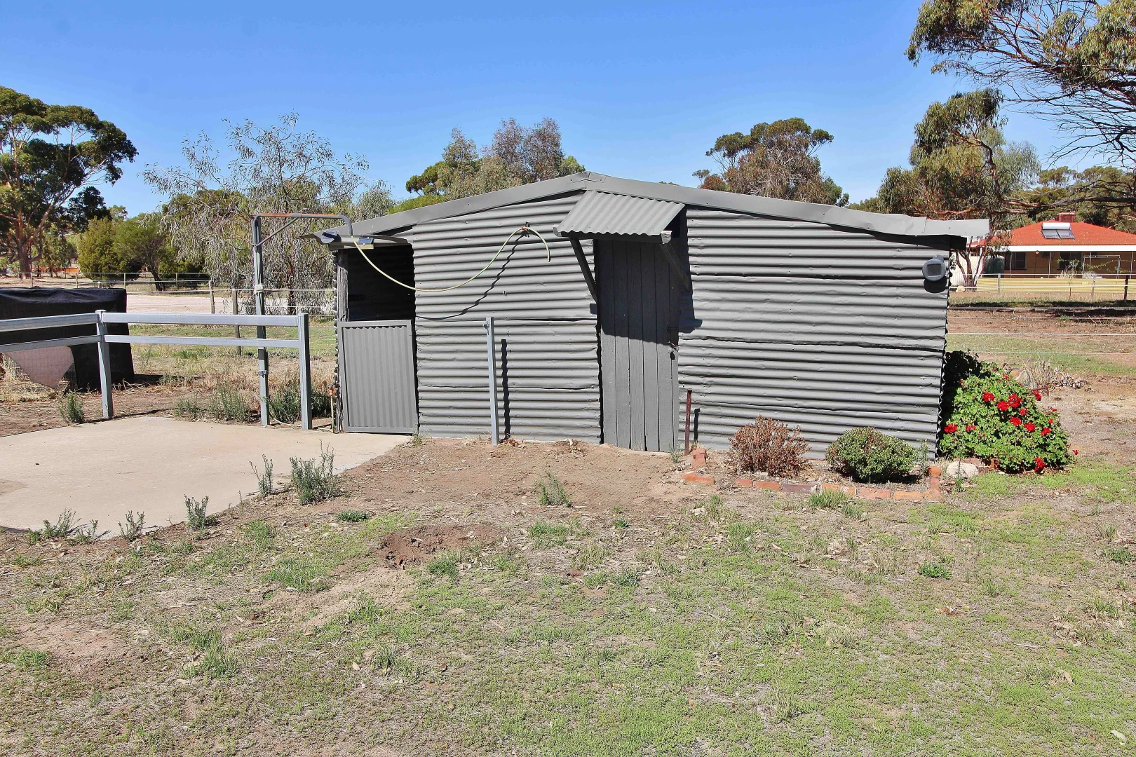 Additional image 18 of 18 COSTELLOE STREET, Wagin WA 6315
