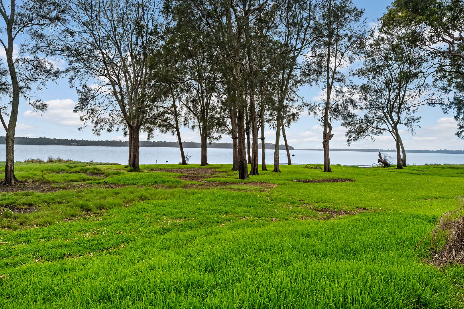 47 Panorama Avenue, Charmhaven NSW 2263 | Domain