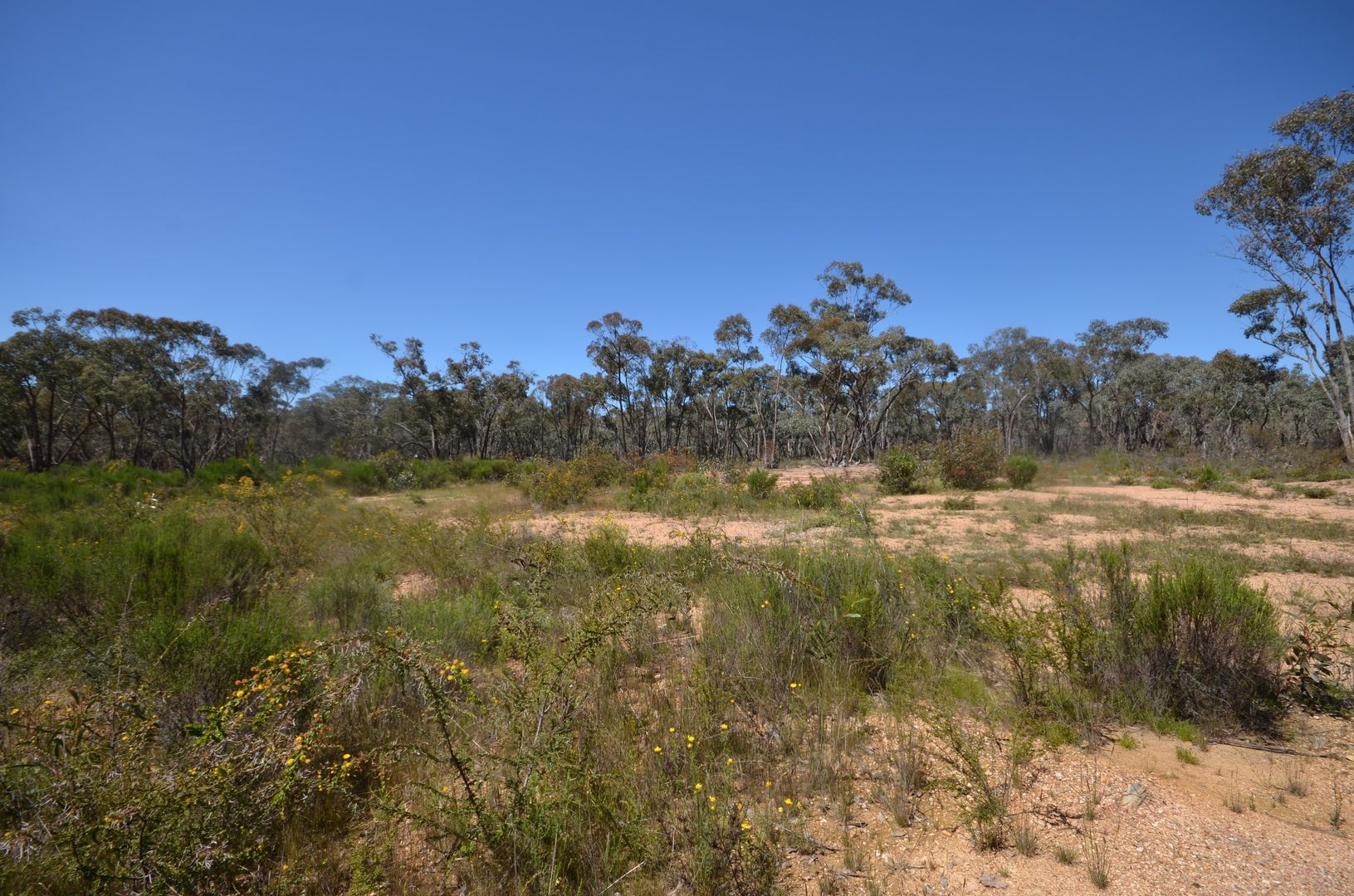 Lot 2 Junortoun Road, Junortoun VIC 3551, Image 1