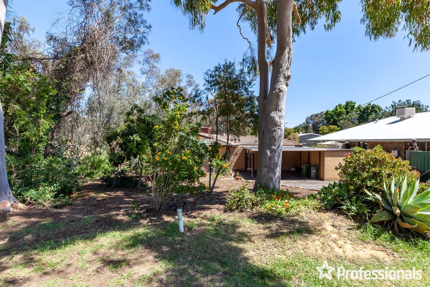 19 Paterson Road, Mount Nasura WA 6112 House For Rent 550 Domain