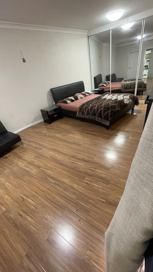 Studio in 53 Blanche Street, STRATHFIELD SOUTH NSW, 2136