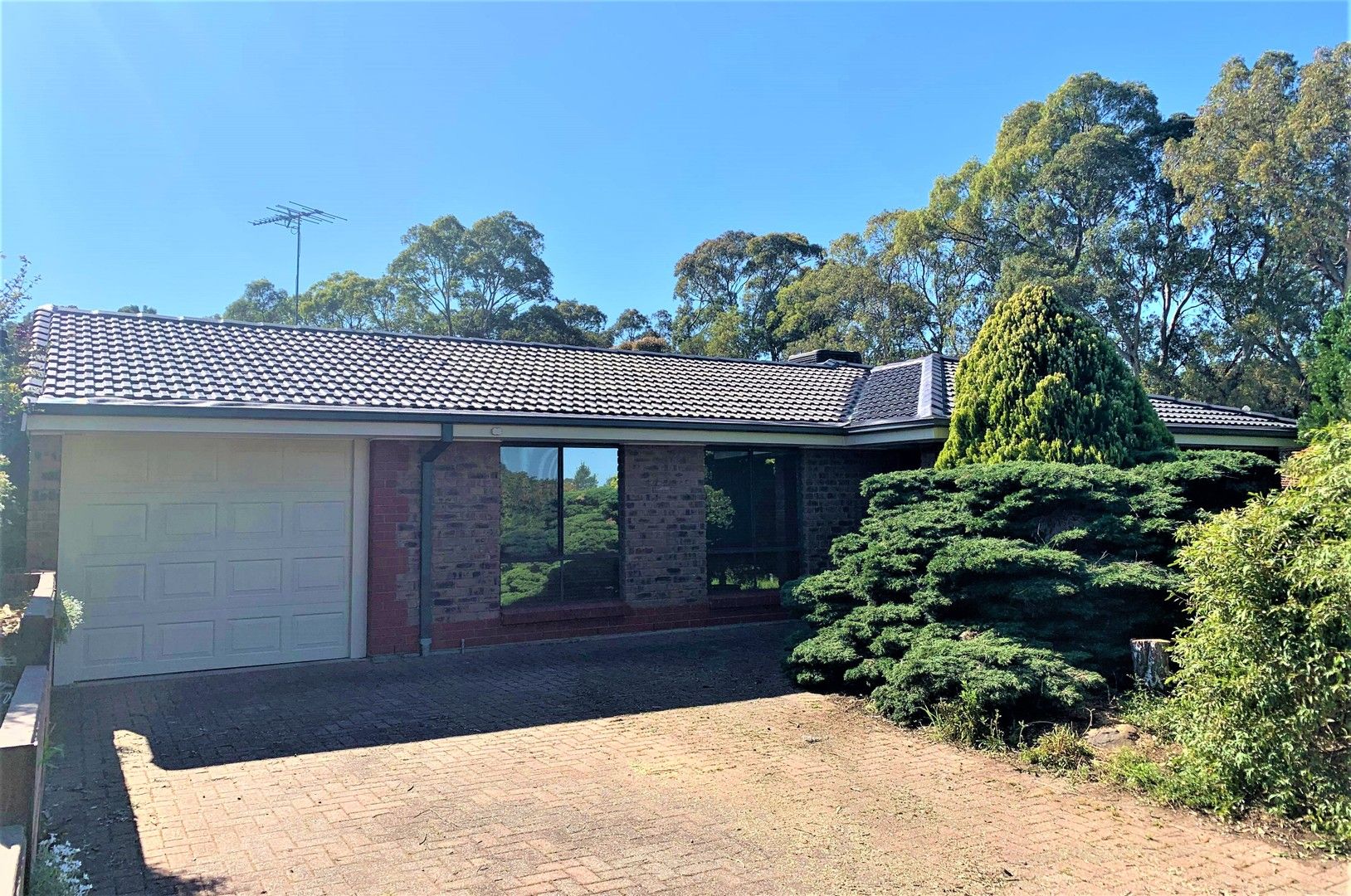 13 Anita Court, Aberfoyle Park SA 5159, Image 0