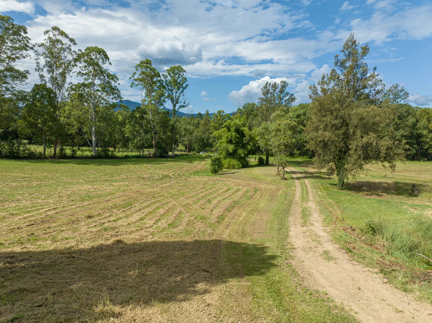 Image 28