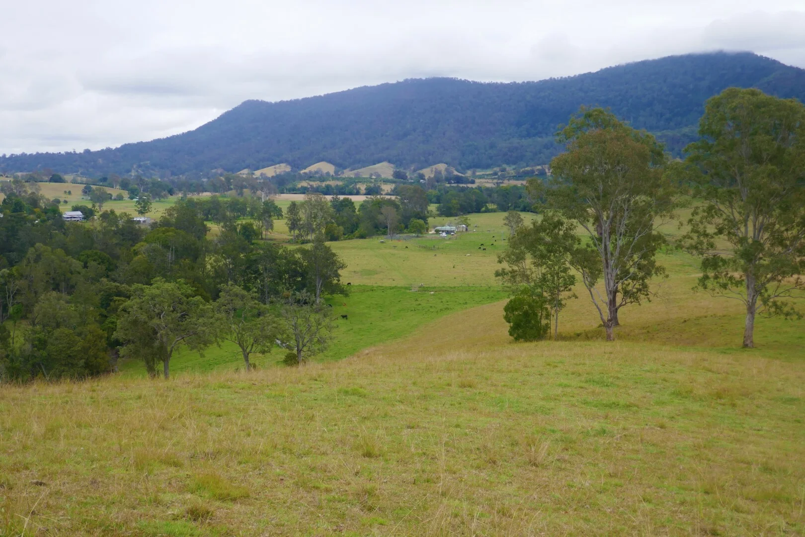 Additional image 17 of 35 Phelps Road, Kyogle NSW 2474