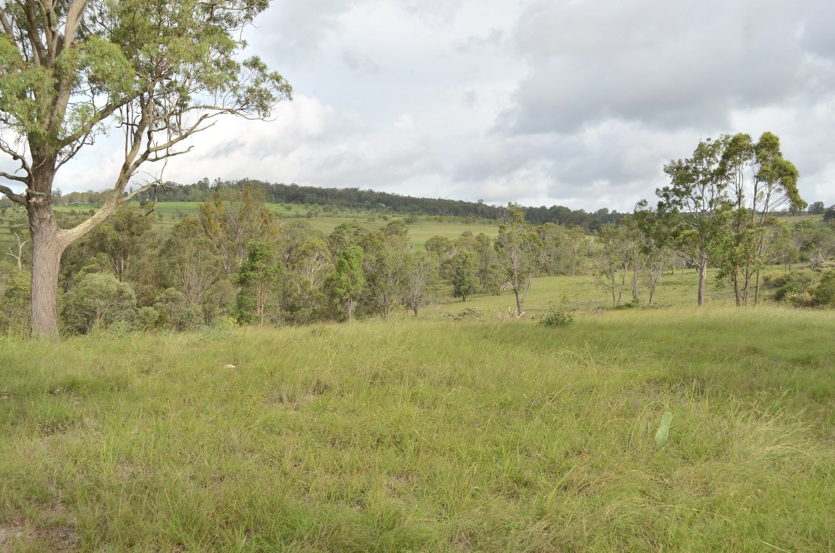 Lot 11 New England Highway, Pechey QLD 4352, Image 1