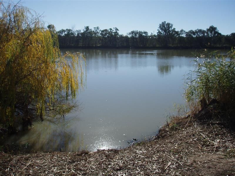 13 River Reserve Road, Swan Reach SA 5354, Image 1