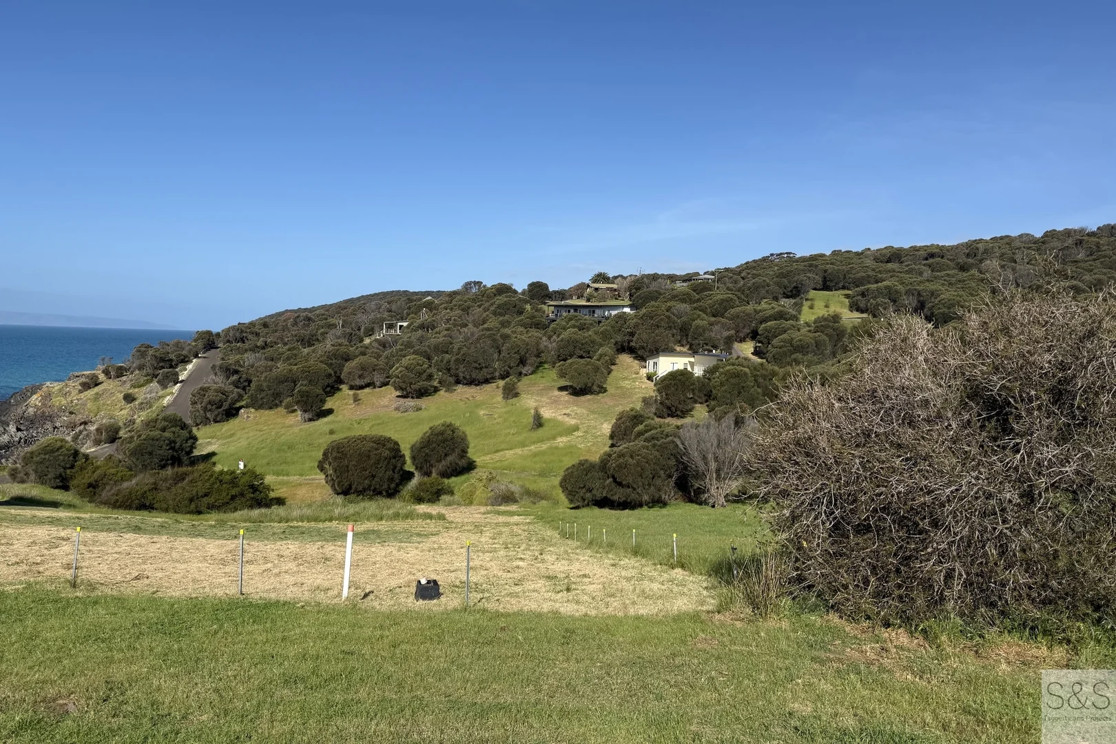 Image 8