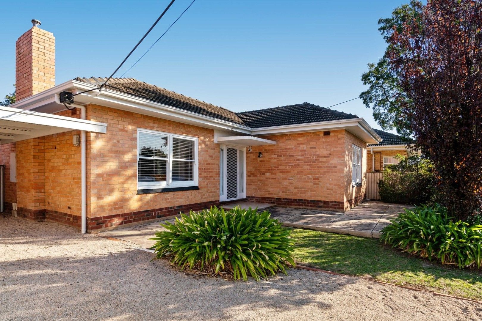 89 Morgan Avenue, Daw Park SA 5041, Image 0