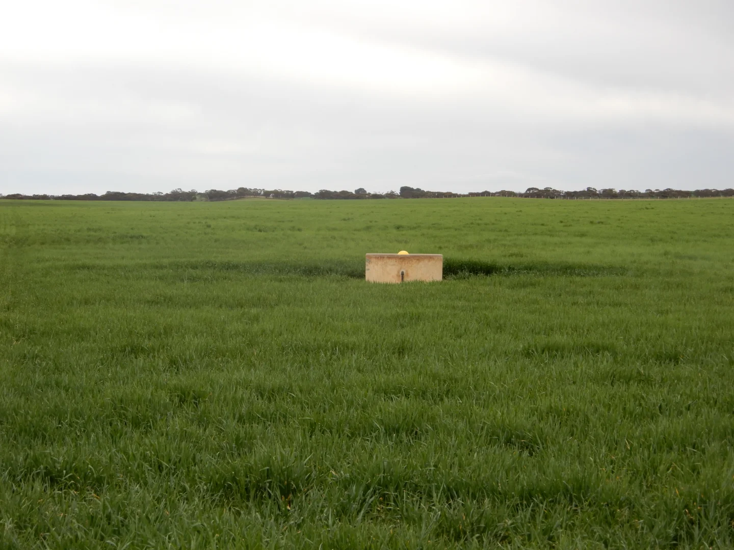 Image 10