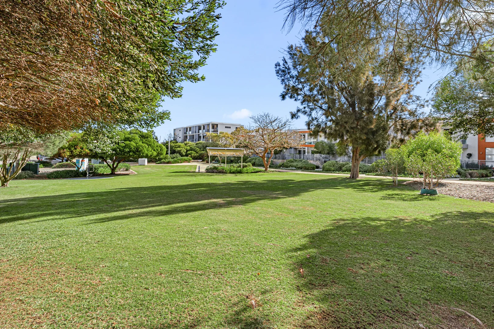 Image 25