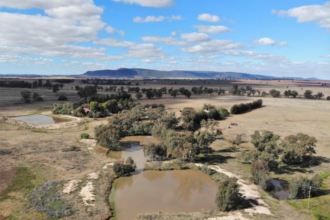 Picture of 35 Hancock Williams Road, PINEY RANGE NSW 2810