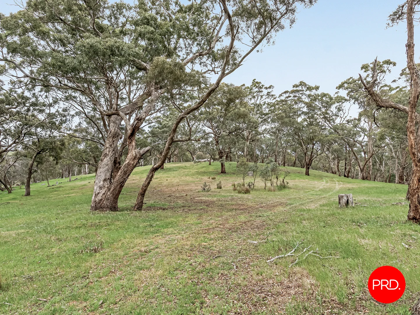 Image 10