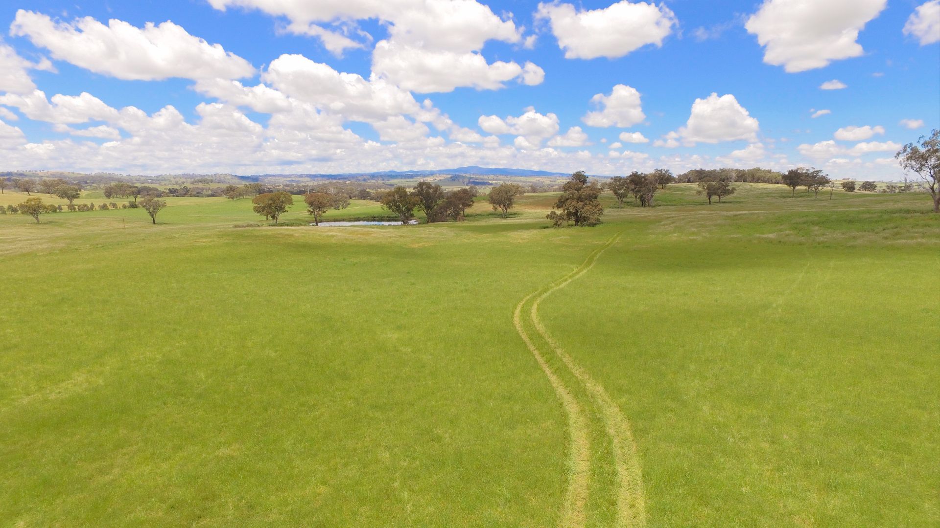 2818 Mitchell Highway, Molong NSW 2866, Image 1