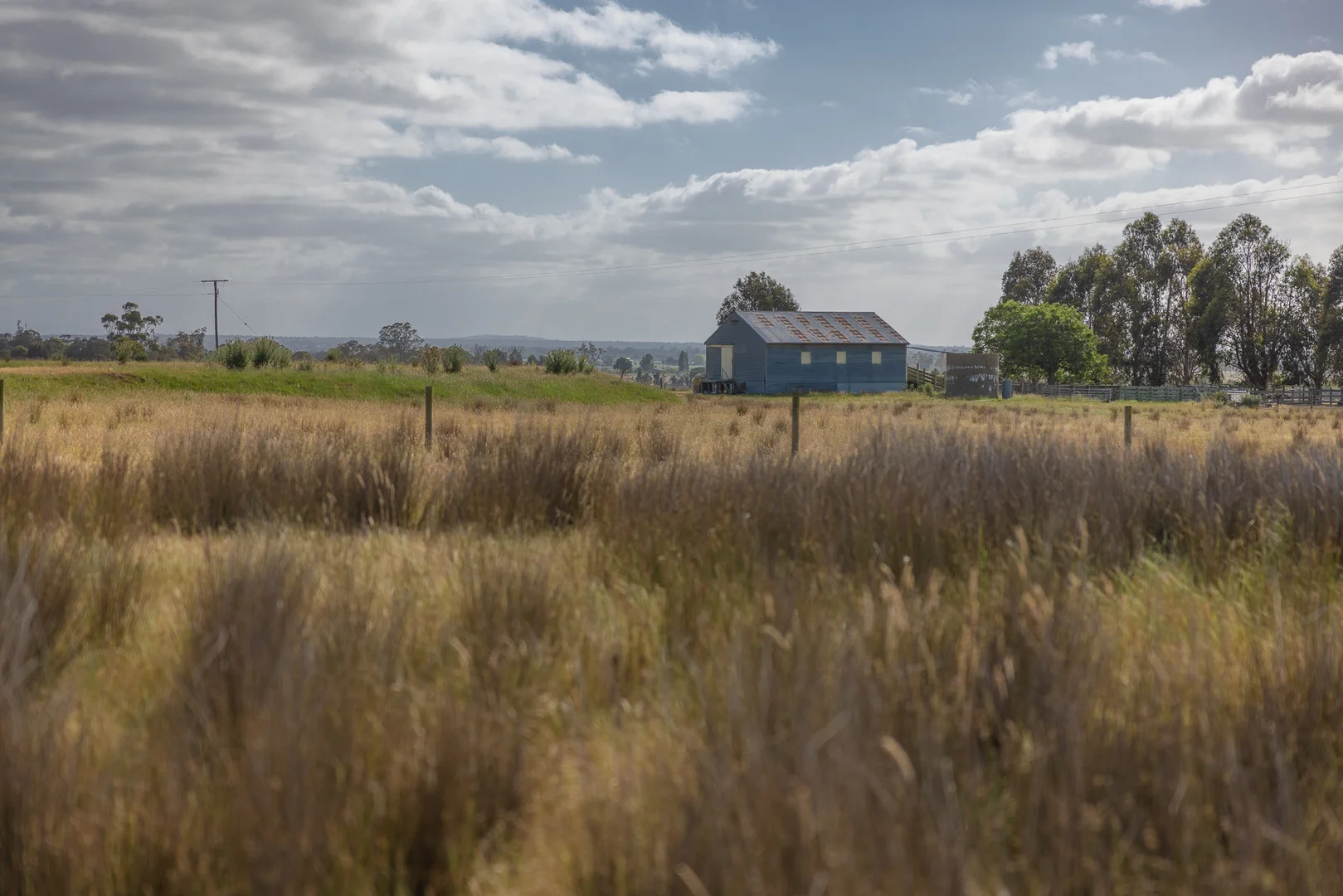 Image 14