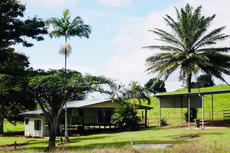 1297 Mossman-Mount Molloy Road, Julatten QLD 4871, Image 2