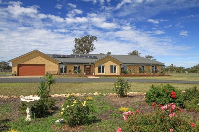 Picture of 44 Molphy Court, HEYFIELD VIC 3858