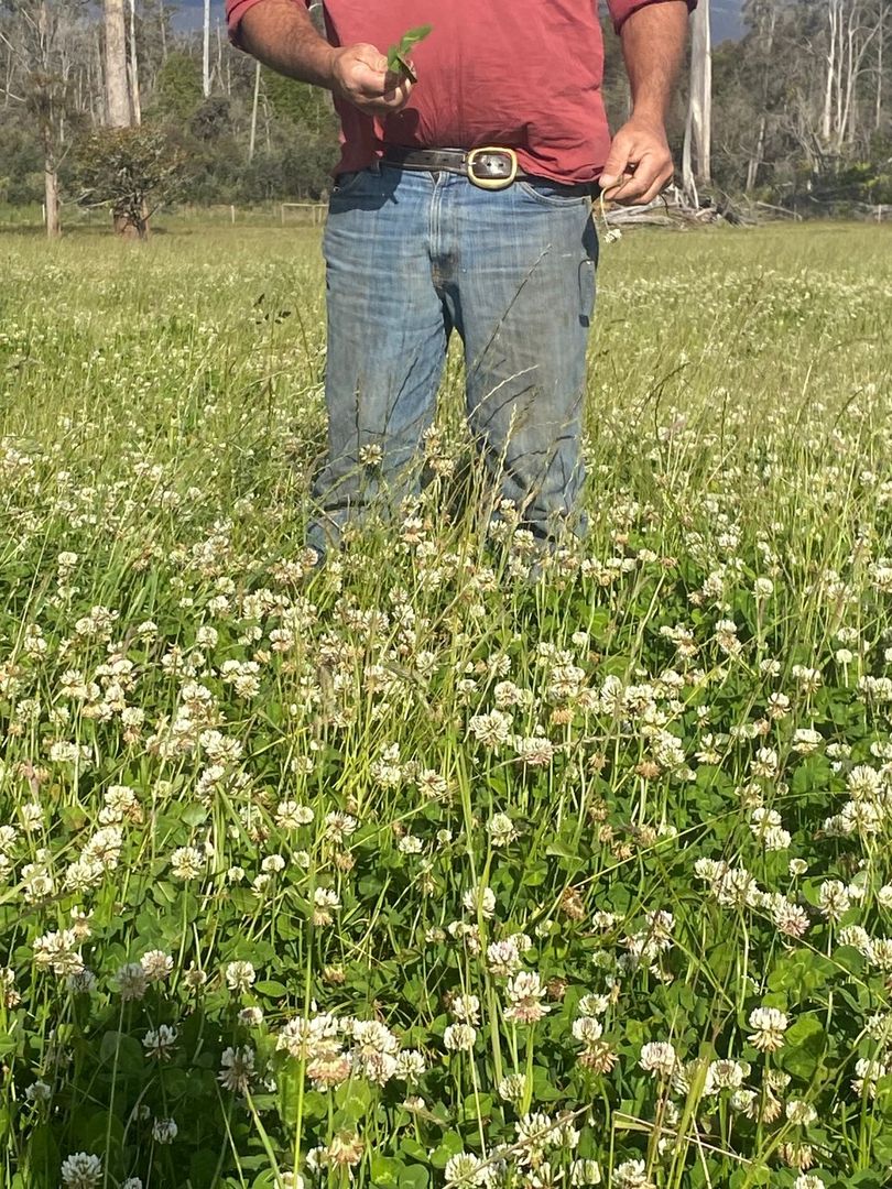 560 Gads Hill Road, Mersey Forest TAS 7304 House for Sale Domain