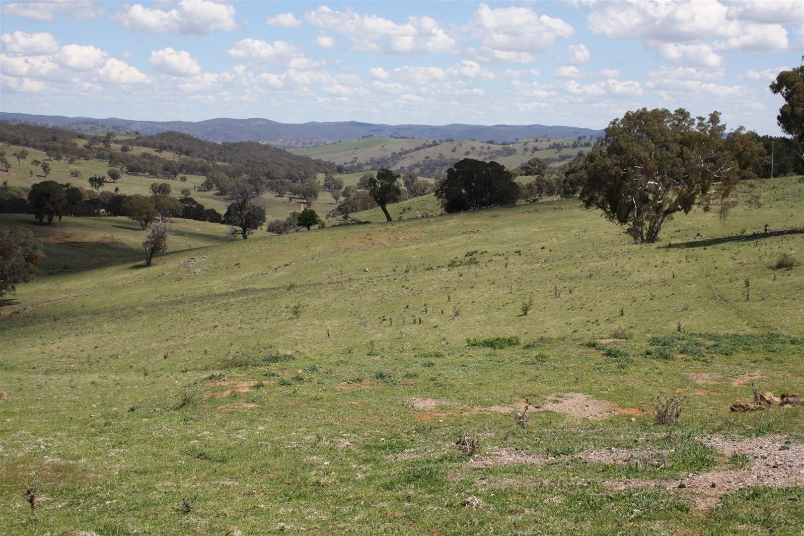 6020 Sofala Road Ilford, Rylstone NSW 2849, Image 0