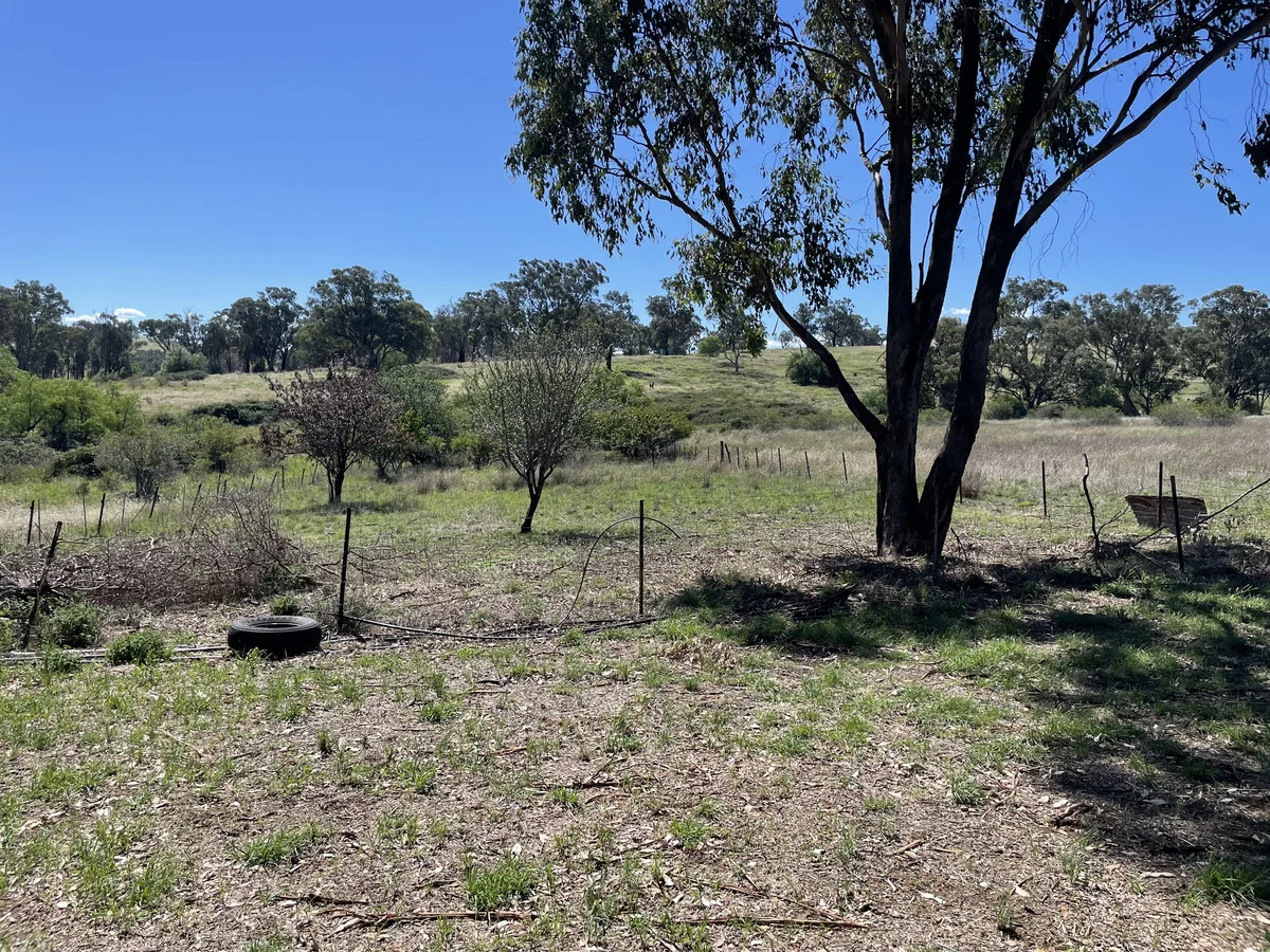 Additional image 15 of Lot 1 Noyeau Street, Woodstock NSW 2793