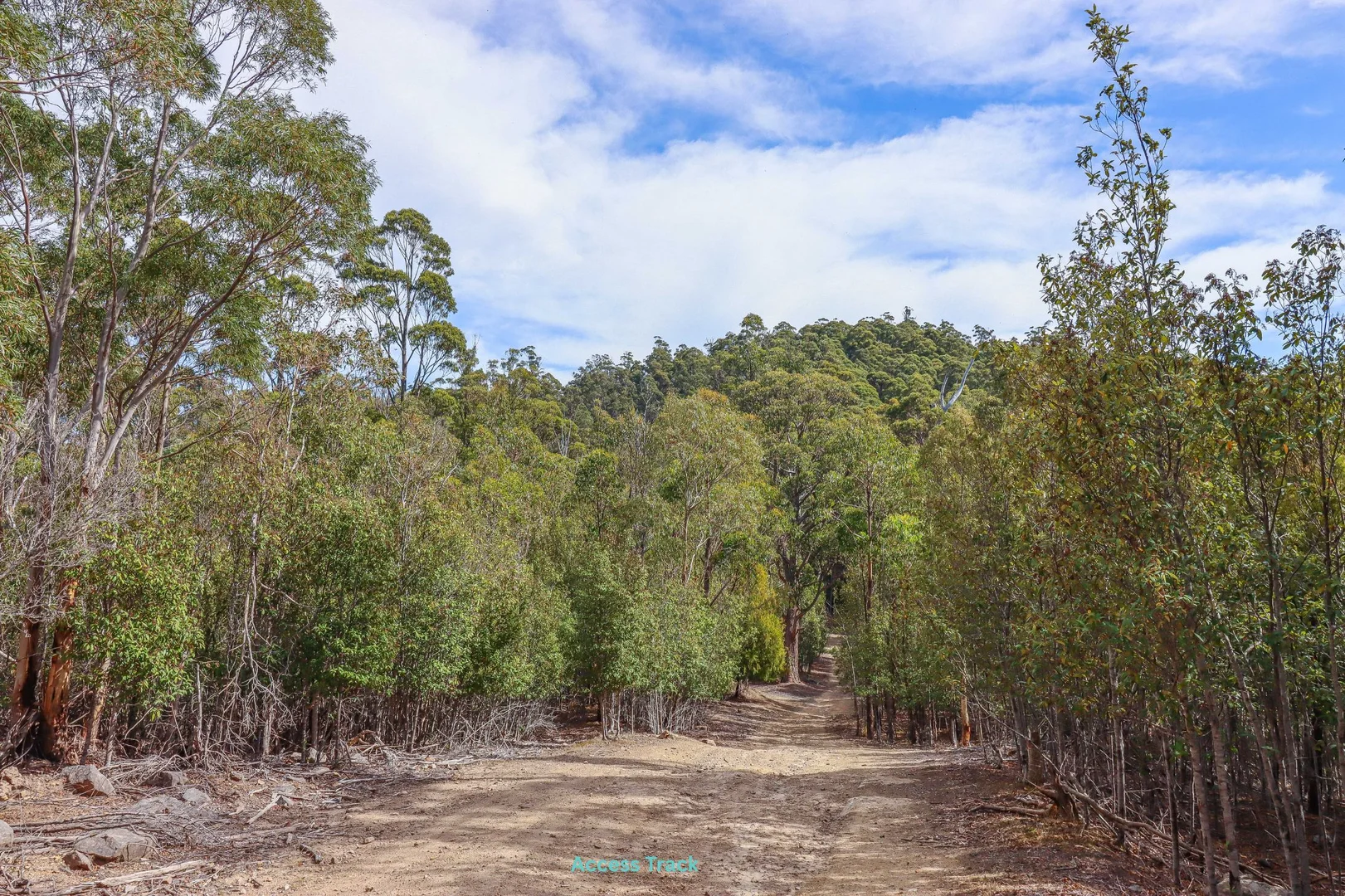Additional image 16 of 1 Link Road, Lonnavale TAS 7109