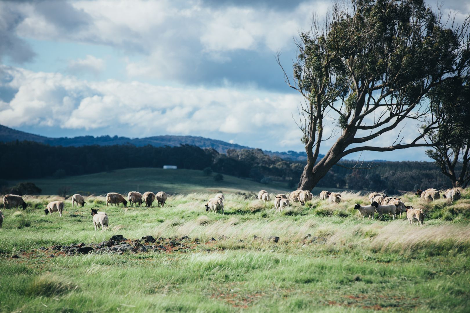 3 The Lookdown Road, Bungonia NSW 2580, Image 1