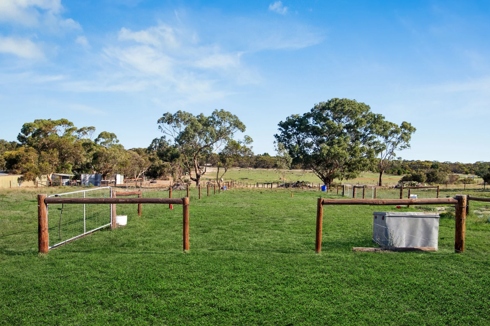 Image 11