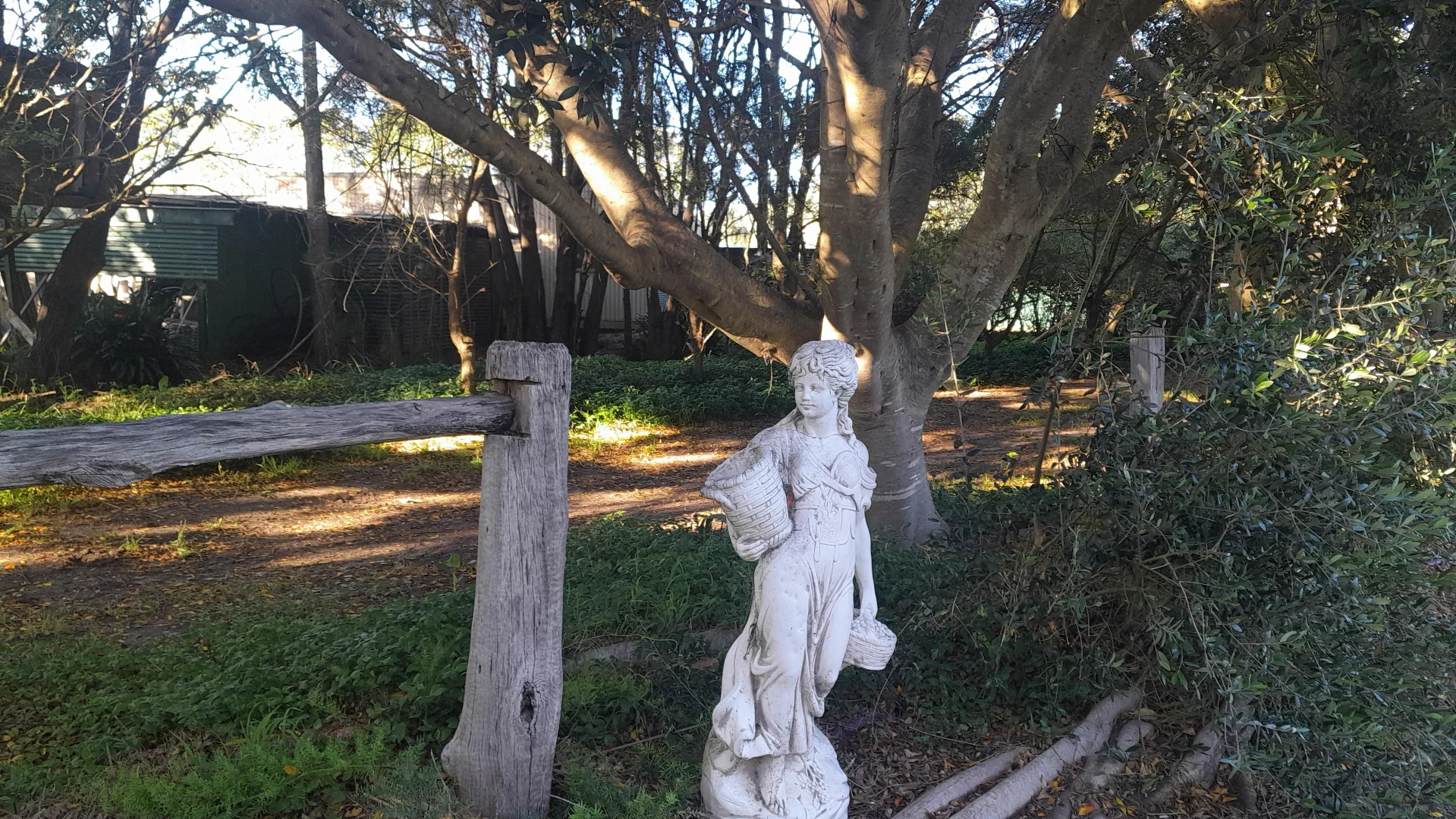 Image 35