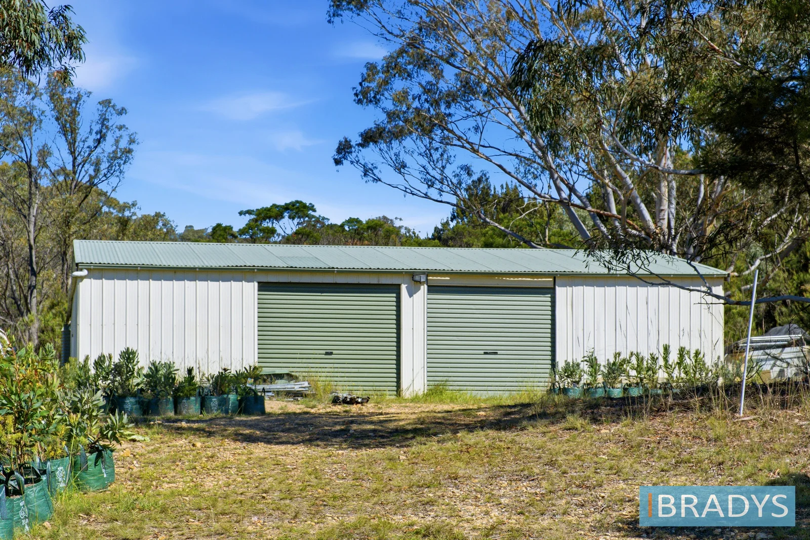 Additional image 24 of 255 Willow Glen Road, Lower Boro NSW 2580
