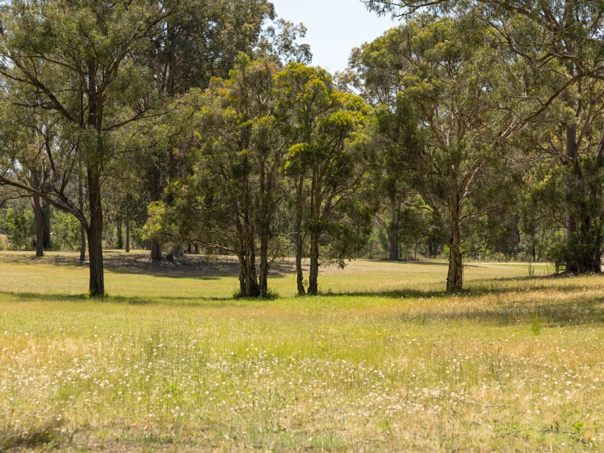 Additional image 6 of 98A Wollemi Peak Road, Bulga NSW 2330