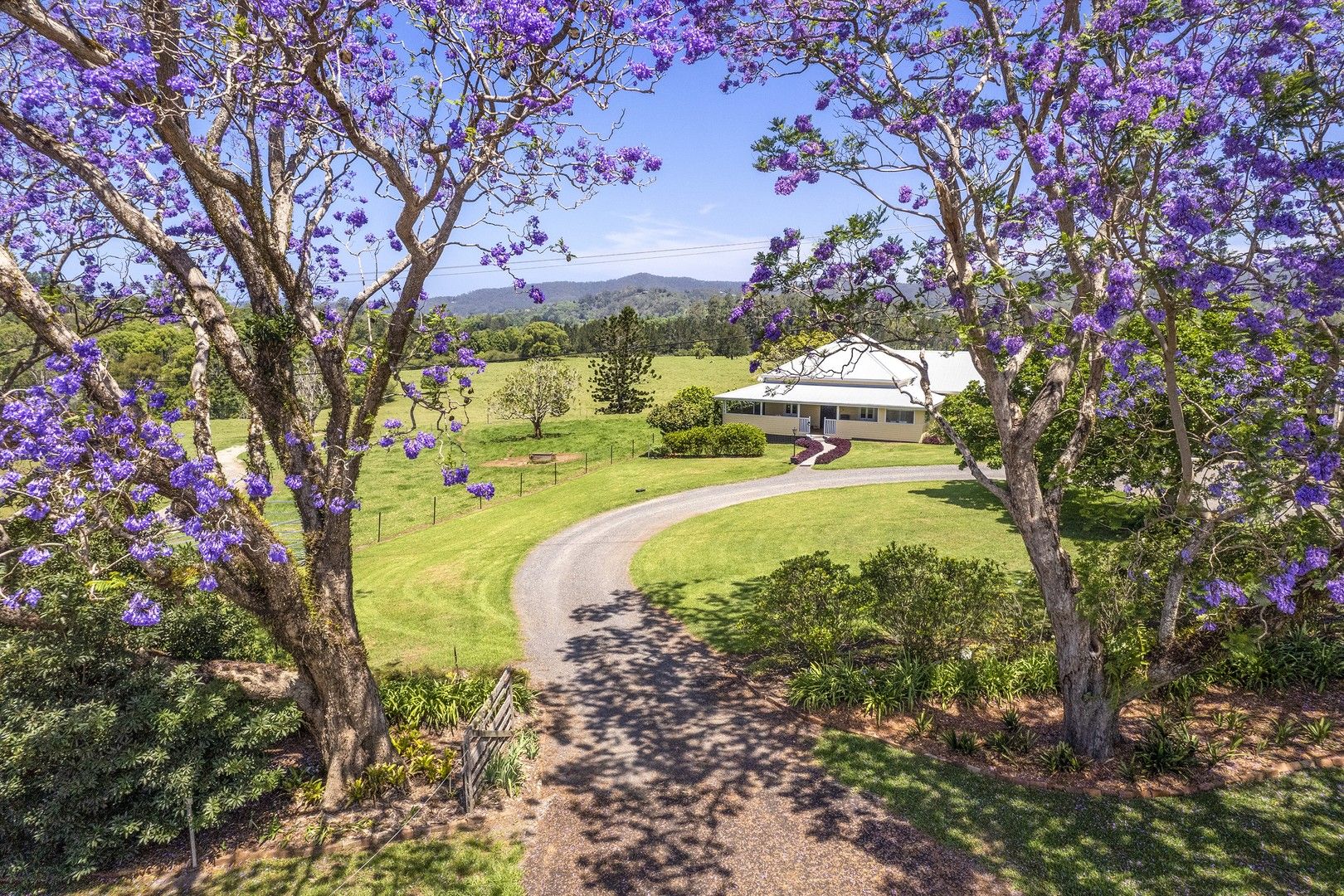 102 North Bank Road, Bellingen NSW 2454, Image 0