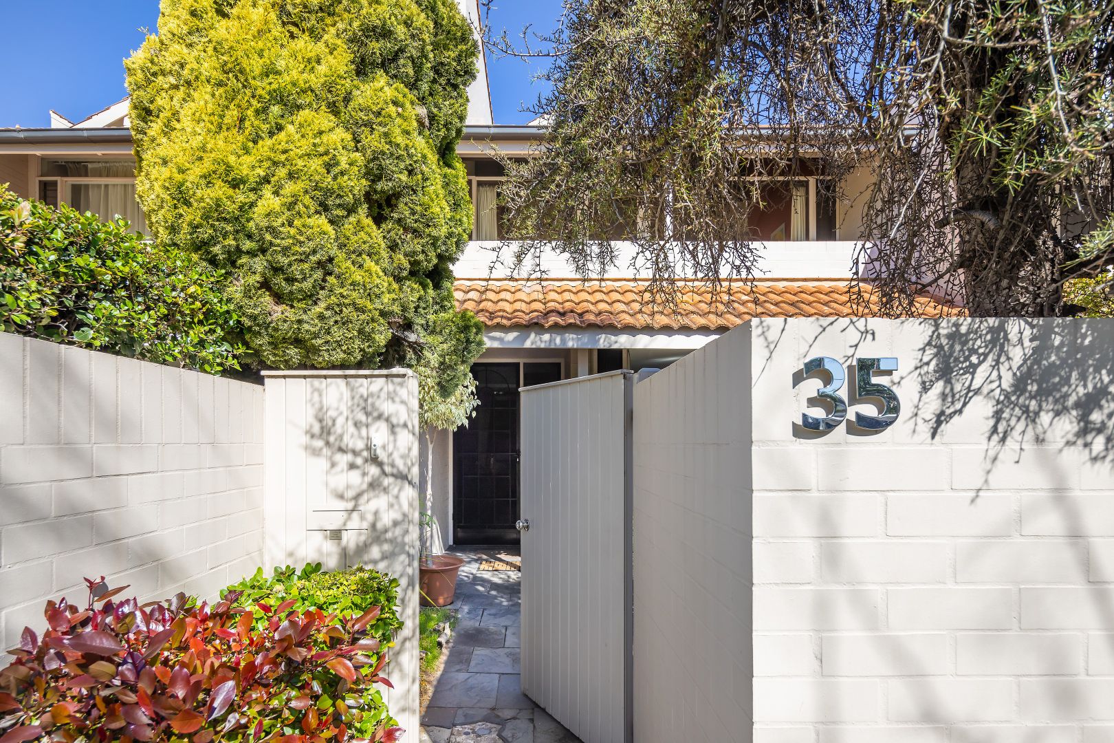 35 Ward Street, North Adelaide SA 5006, Image 1