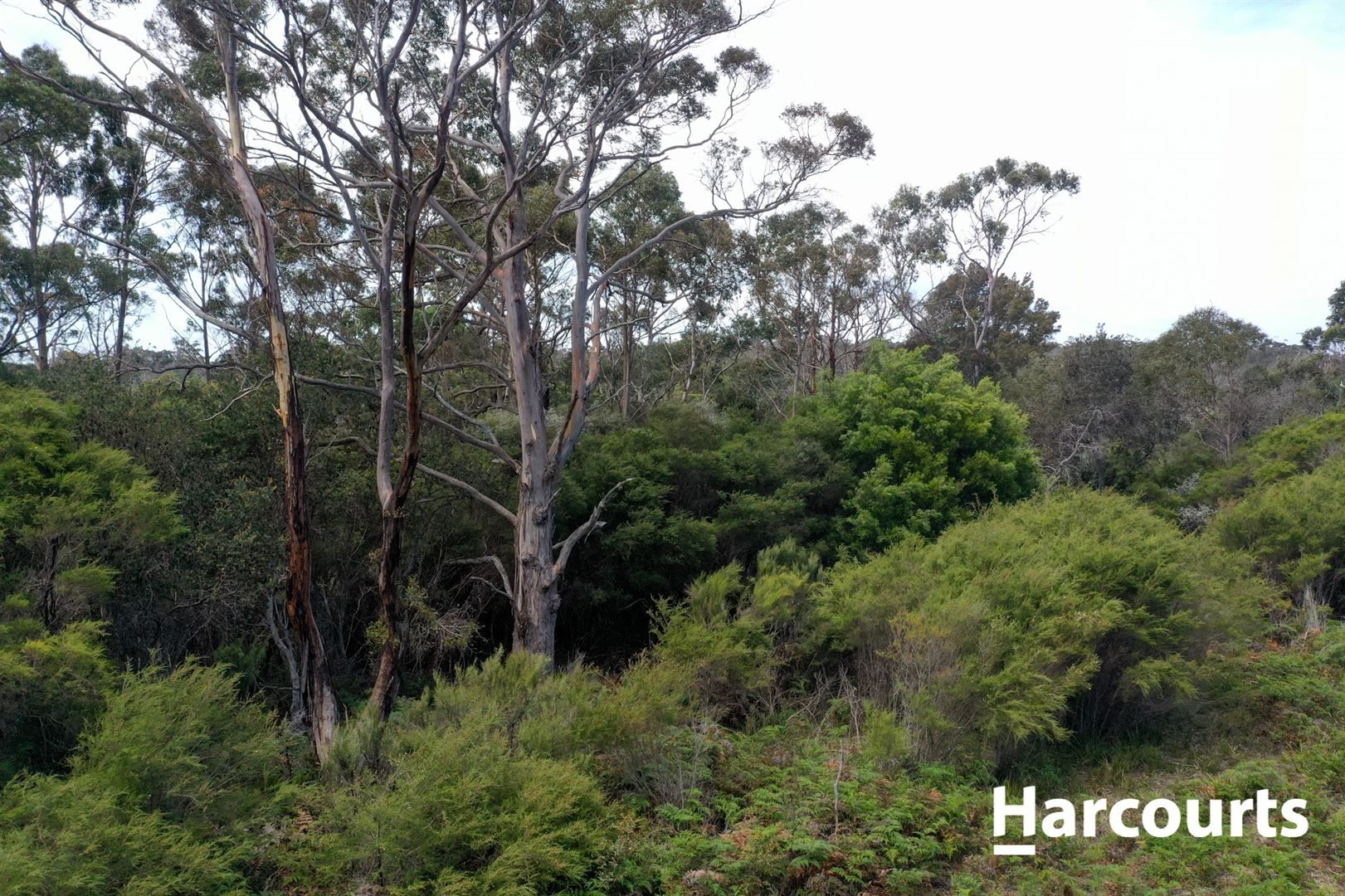 Lot 1 Cape Portland Road, Gladstone TAS 7264, Image 1